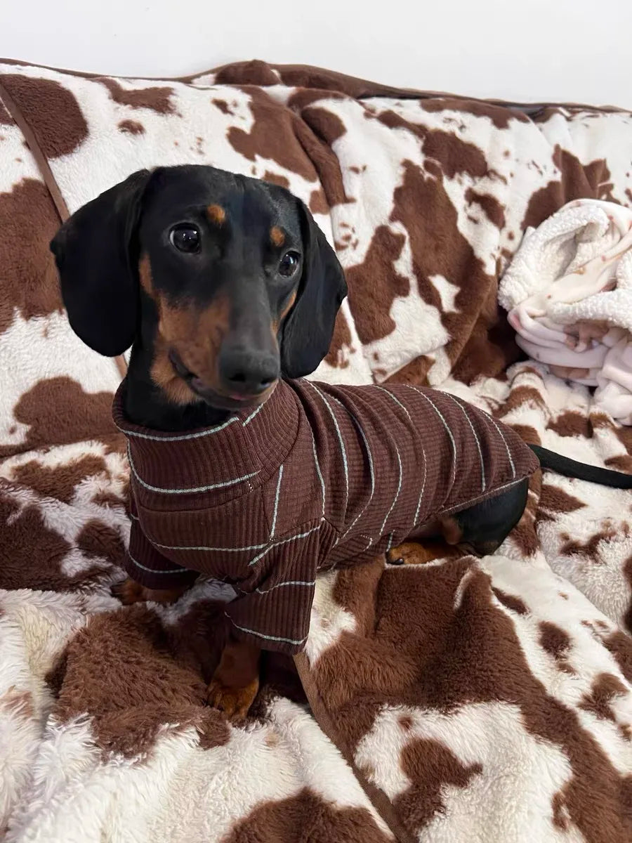 Dachshund Dog Sweater
