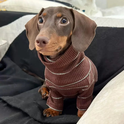 Dachshund Dog Sweater