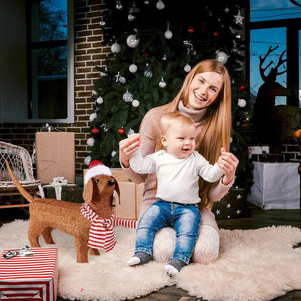 Christmas Lighted Dachshund