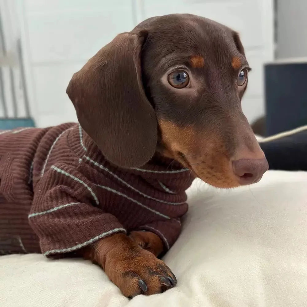 Dachshund Dog Sweater