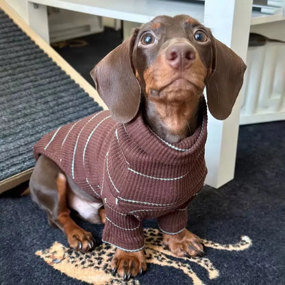 Dachshund Dog Sweater