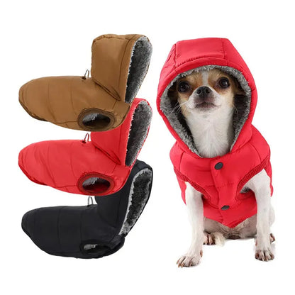 Dachshund  Autumn  Jacket