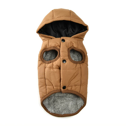 Dachshund  Autumn  Jacket