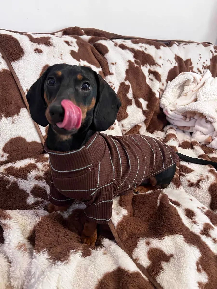 Dachshund Dog Sweater