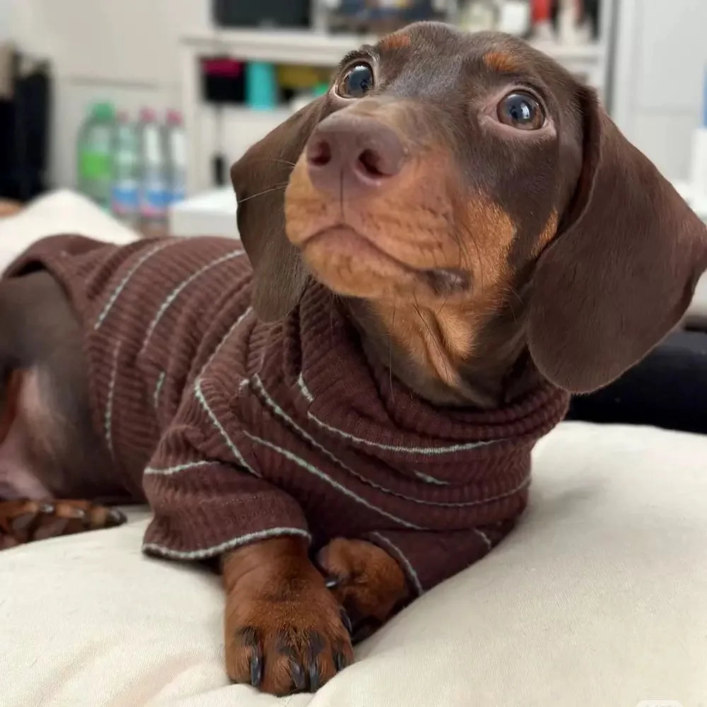 Dachshund Dog Sweater